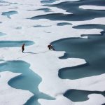 Artic Sea Ice