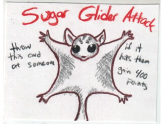 Sugar Glider Attack Card from 1000 Blank White Cards deck