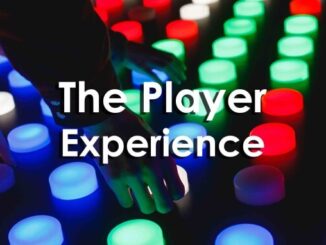 The Player Experience