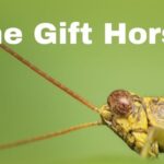 The Gift Horse cover image