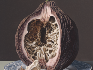 Weird fruit a cross between a fig and an avocado with unpleasant looking skeletal internal structure